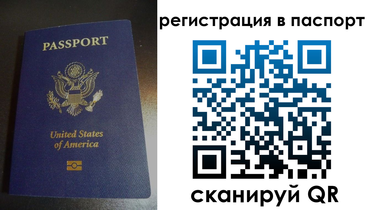 прописка для школы в Протвино